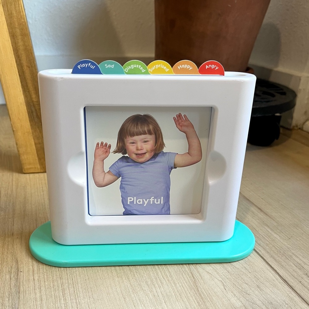 Lovevery Emotion Match Mirror & Card Set from The Enthusiast Play Kit 28,29,30mo